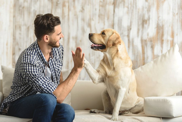 Làm vài tiếng/ngày kiếm hơn chục triệu/tháng, một cô gái tiết lộ 5 cách tăng thu nhập ‘đơn giản’ hầu như ai cũng làm được - Ảnh 4.