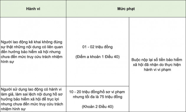 Làm việc online tại nhà, F0 không được hưởng BHXH - Ảnh 3.