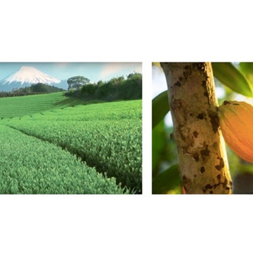 Lấn sân ngành hàng đông lạnh, Tập đoàn TH xác lập bước tiến về nguyên liệu kem: Hoàn toàn từ sữa tươi sạch và tự nhiên