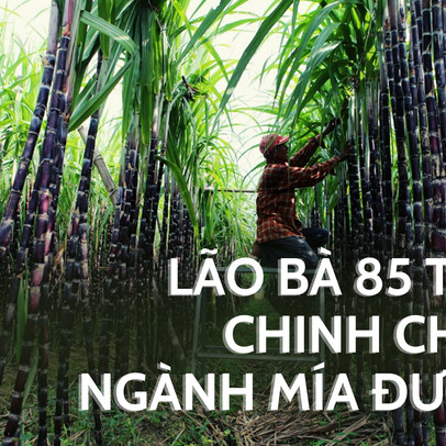 Lão bà Kỷ Mão lớn tuổi nhất sàn chứng Việt: DN cán đích lợi nhuận ngay quý đầu niên độ, trả cổ tức cả trăm tỷ, EPS top đầu, cổ phiếu trụ vững trong CLB "giá 3 chữ số"