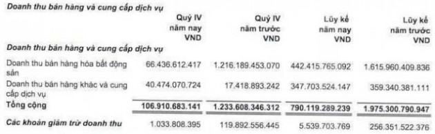 LDG: Quý 4/2019 lãi 255 tỷ đồng, giảm 22% so với cùng kỳ - Ảnh 1.