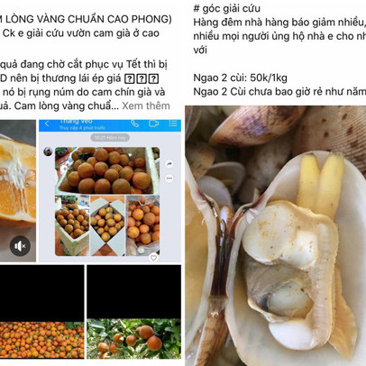 Lên mạng giải cứu hàng tết