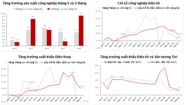 Lên tiếng về tín hiệu cảnh báo đến kinh tế Việt Nam, Chứng khoán SSI nhận định cần phát triển nhanh đàn sếu lớn - Ảnh 1.