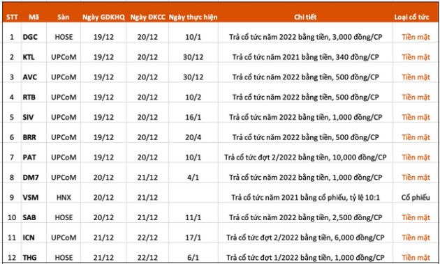 Lịch chốt quyền cổ tức tuần 19/12 - 23/12: Xuất hiện doanh nghiệp trả cổ tức tiền mặt 100% - Ảnh 1.
