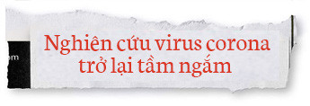 Lịch sử bí ẩn của họ virus corona: Từ cơn cảm lạnh thông thường đến những đại dịch toàn cầu - Ảnh 7.