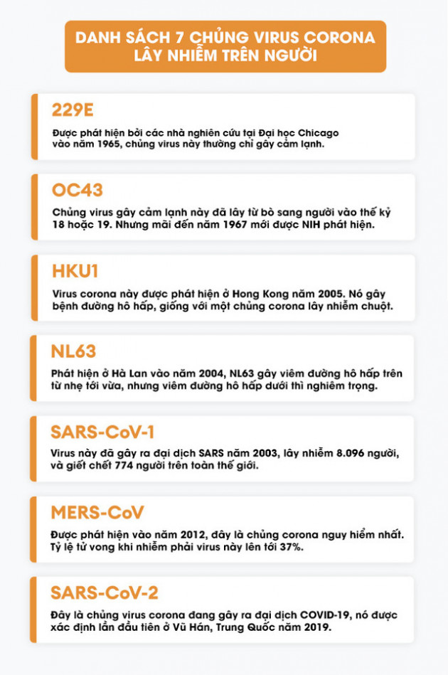 Lịch sử bí ẩn của họ virus corona: Từ cơn cảm lạnh thông thường đến những đại dịch toàn cầu - Ảnh 8.