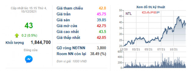 Lideco (NTL): Giá tăng gấp đôi từ đầu năm, Phó Tổng Giám đốc đăng ký bán sạch hơn 1 triệu cổ phiếu - Ảnh 1.