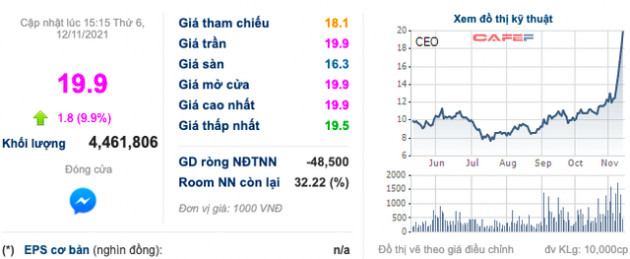 Liên tiếp thua lỗ và dòng tiền âm hơn trăm tỷ, cổ phiếu CEO vẫn dậy sóng khi tăng đến 50% thị giá sau 5 phiên kịch trần - Ảnh 1.