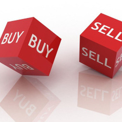 Liên tục bán ra, Pyn Elite Fund không còn là cổ đông lớn của Vneco