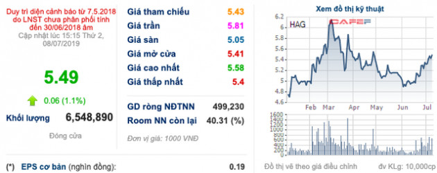 Liên tục cùng nhau phá đỉnh, HAGL muốn bán ra 60 triệu cổ phiếu HAGL Agrico - Ảnh 2.