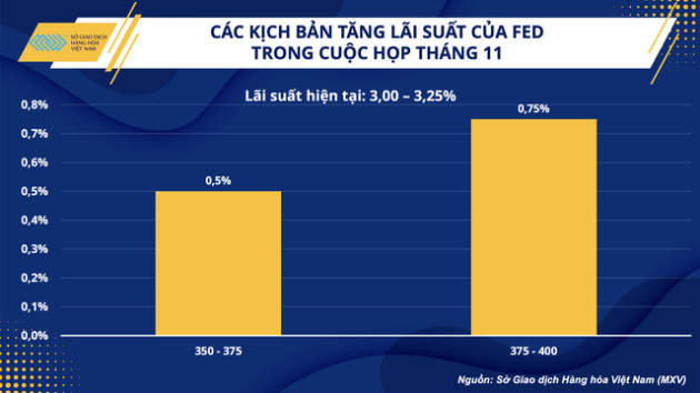 Liệu quyết định cắt giảm sản lượng có thực sự giúp OPEC+ cứu vớt giá dầu thô? - Ảnh 3.