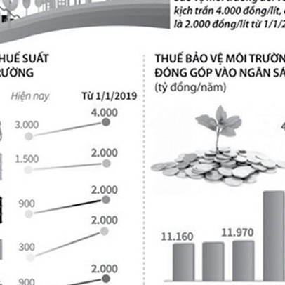 Liệu thuế có chồng thuế?