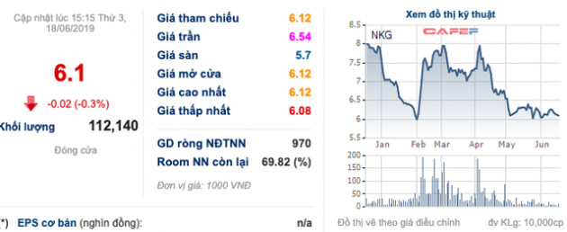 Lỗ 100 tỷ trong quý 1, Nam Kim (NKG) vẫn đặt tiêu tiêu 295 tỷ đồng LNST năm 2019 - Ảnh 3.