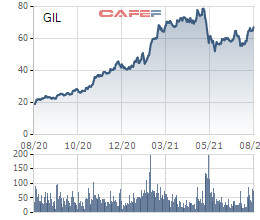 Lộ diện nhà đầu tư cá nhân nắm giữ lượng cổ phiếu HDG, GIL có giá trị gần 800 tỷ đồng - Ảnh 1.
