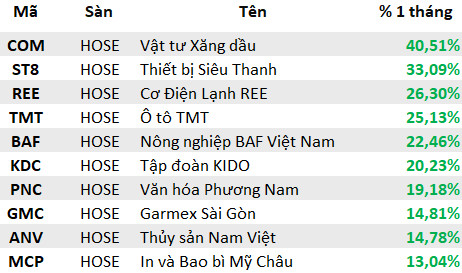 Lộ diện những cổ phiếu ngược dòng tăng điểm trong tháng Sell in May: Quán quân bứt phá gần 65%, duy nhất một bluechips lọt TOP tăng mạnh nhất sàn HoSE - Ảnh 6.