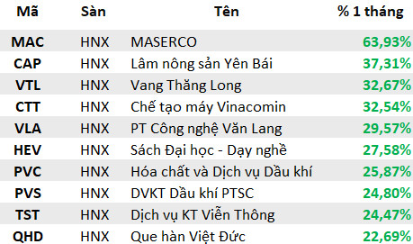 Lộ diện những cổ phiếu ngược dòng tăng điểm trong tháng Sell in May: Quán quân bứt phá gần 65%, duy nhất một bluechips lọt TOP tăng mạnh nhất sàn HoSE - Ảnh 7.