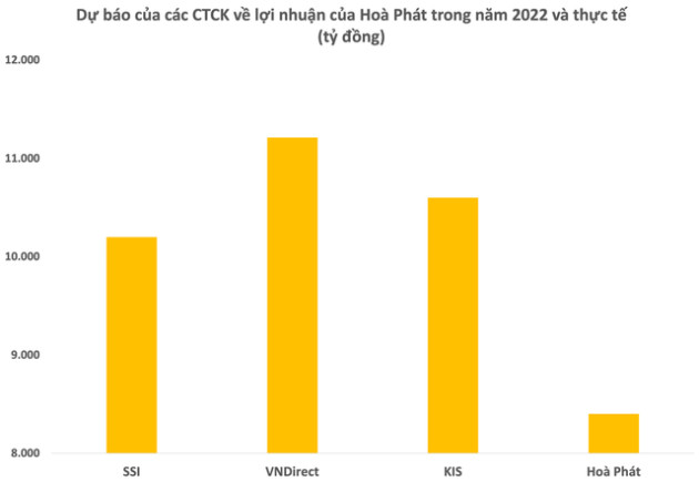 Loạt công ty chứng khoán “việt vị” với khoản lỗ kỷ lục trong quý 4 của Hoà Phát - Ảnh 2.