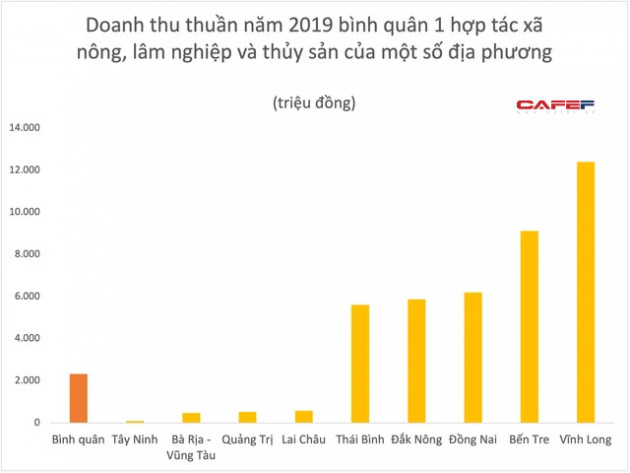 Loạt địa phương có doanh thu thuần bình quân 1 DN nông, lâm nghiệp và thủy sản dưới 10 tỷ đồng: Cao Bằng, Lào Cai, Đà Nẵng... chỉ đạt dưới 5 tỷ đồng - Ảnh 3.