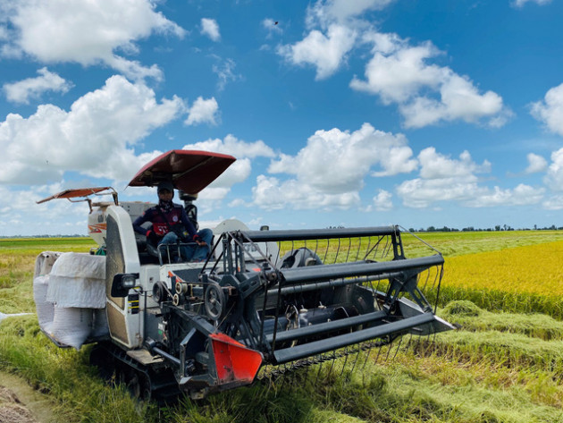 Lối đi nào cho ngành sản xuất lúa gạo Việt Nam? - Ảnh 1.