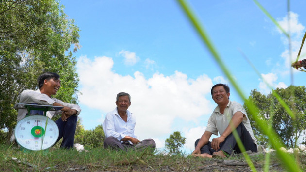 Lối đi nào cho ngành sản xuất lúa gạo Việt Nam? - Ảnh 3.