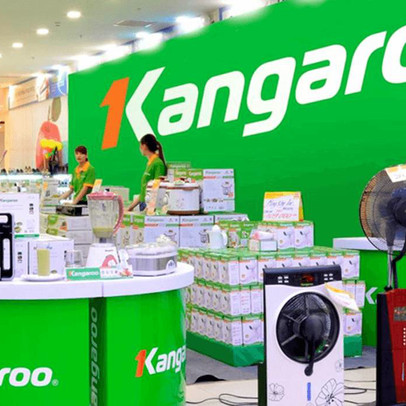 Lợi nhuận của Kangaroo tăng gấp đôi trong năm COVID-19