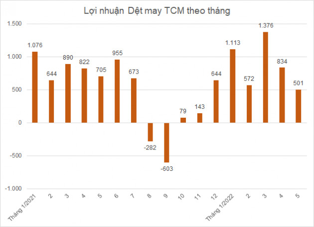 Lợi nhuận Dệt may Thành Công tháng 5 giảm 29% do chi phí tăng mạnh - Ảnh 1.