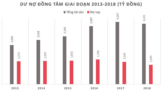 Lợi nhuận năm 2018 của Đồng Tâm Group tiếp tục giảm về 191 tỷ, biên lợi nhuận thấp nhất sau 5 năm - Ảnh 2.