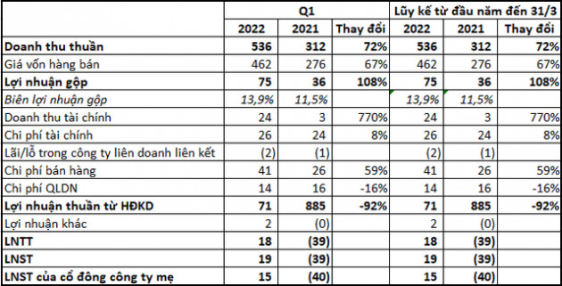 Lợi nhuận tăng mạnh quý 1/2022, Gỗ Trường Thành (TTF) vẫn lỗ lũy kế hơn 3.000 tỷ đồng - Ảnh 1.