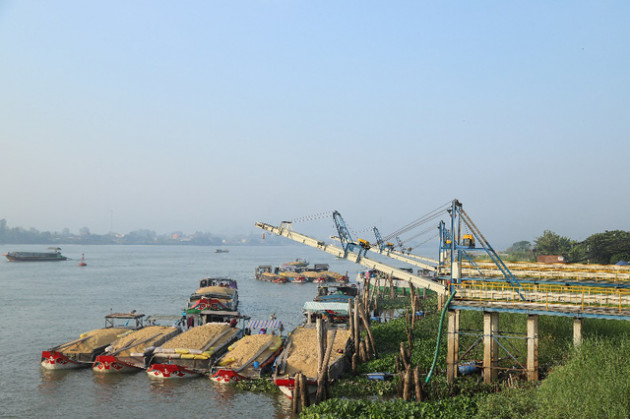 Lợi thế hội tụ, công ty GAVI thẳng tiến vị thế đầu ngành - Ảnh 2.