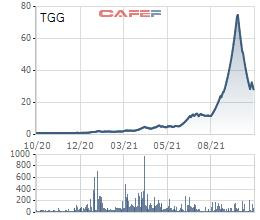 Louis Capital (TGG) báo lãi 65 tỷ đồng 9 tháng đầu năm, gấp gần 33 lần mục tiêu kế hoạch cả năm - Ảnh 3.