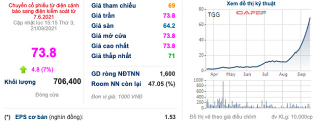 Louis Capital (TGG): Thành viên HĐQT nộp đơn từ nhiệm - Ảnh 1.