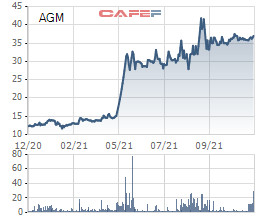 Louis Holdings dự kiến tăng tỷ lệ sở hữu Agimex (AGM) lên 23% - Ảnh 1.