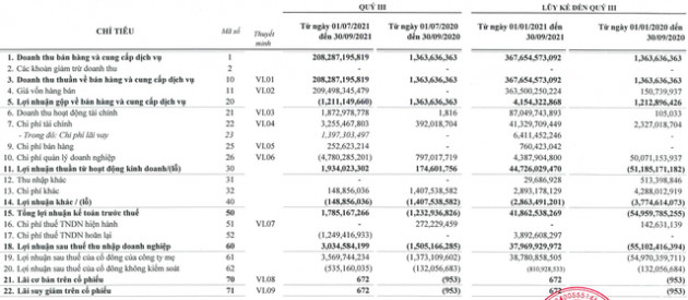 Louis Land (BII): Quý 3/2021 thoát lỗ nhờ hoàn nhập dự phòng khoản đầu tư tại Bất động sản Bình Thuận - Ảnh 1.