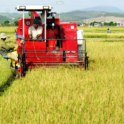 Lũ lụt lịch sử tại Trung Quốc, cổ phiếu nông nghiệp HNG, LTG bứt phá mạnh trong phiên 7/9