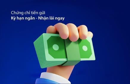 Lựa chọn chứng chỉ tiền gửi để tối ưu lợi ích và dòng vốn kinh doanh - Ảnh 1.