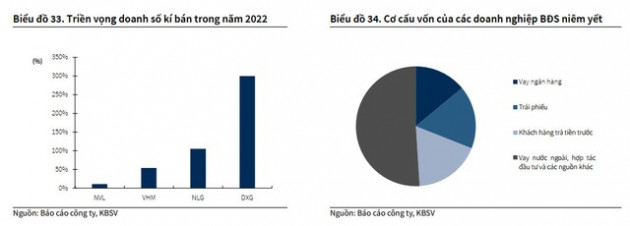 Lượng lớn trái phiếu đáo hạn và tín dụng bị kiểm soát, doanh nghiệp BĐS xoay sở dòng tiền trả nợ như thế nào? - Ảnh 2.