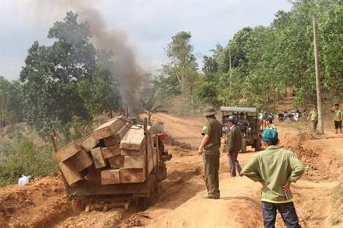 Lương thấp như cán bộ bảo vệ rừng: Đi 30 km/ngày, lương 3 triệu/tháng