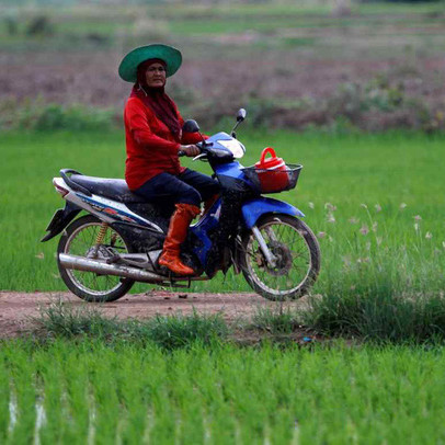 Lương thực sụt giảm mạnh vì xung đột: Láng giềng Việt Nam hưởng lợi lớn nhờ xuất khẩu gạo