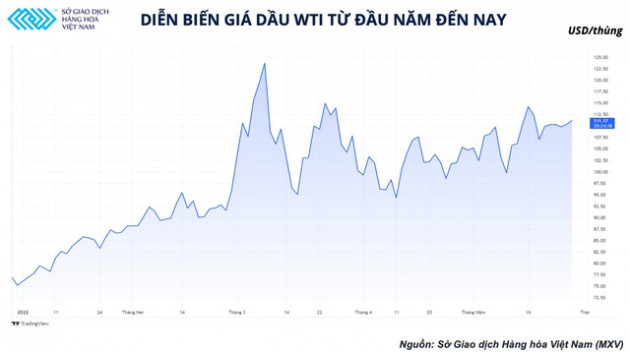 Mắc kẹt gần nửa năm nhưng động lực tăng giá dầu thô đã gần kề - Ảnh 1.