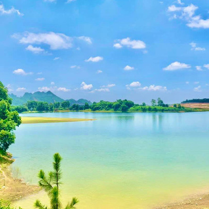 Mắc kẹt tại Đà Lạt vì dịch, cô gái quyết định xuống tiền mua đất làm farmstay nhưng không ngờ dính phải đất quy hoạch