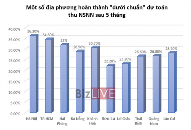 Mảng xám trên “bức tranh” thu ngân sách mùa dịch Covid-19 - Ảnh 2.