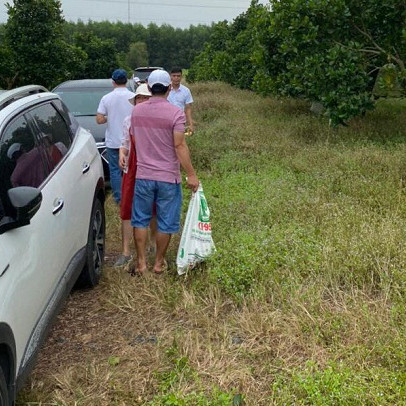 “Mánh khoé” đầu tư lướt sóng BĐS: Đền cọc nửa tỉ nếu không biết điều này