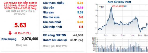 Trùm giải cứu Mai Hữu Tín muốn đưa Gỗ Trường Thành (TTF) trở thành doanh nghiệp dẫn đầu Asean trong 10 năm tới - Ảnh 2.