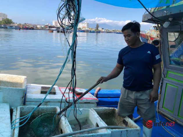 Mất thêm hàng chục triệu vào xăng dầu, chủ tàu khóc giá hải sản tăng không thấm vào đâu - Ảnh 4.