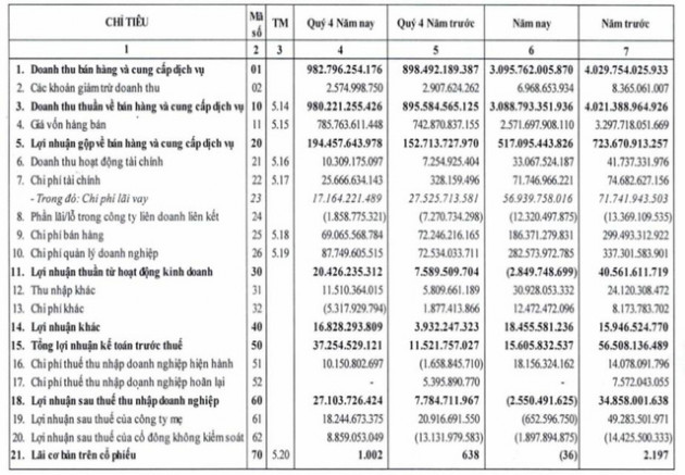 May Nhà Bè (MNB) báo lãi quý 4 lãi cao gấp 3,5 lần cùng kỳ nhưng cả năm 2021 vẫn lỗ ròng hơn nửa tỷ đồng - Ảnh 2.