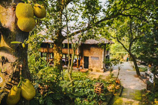 Mê mẩn khu nhà trên núi có ao đầy cá, vườn trĩu quả - Ảnh 18.