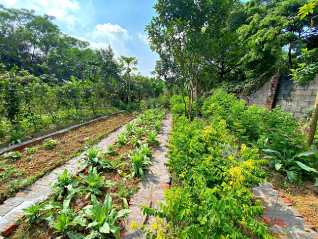 Mê mẩn với căn nhà second-home đẹp đến phát thèm tại ngoại ô Hà Nội, lộ bí quyết nhà đẹp quanh năm chỉ với 0 đồng của chủ nhà - Ảnh 13.