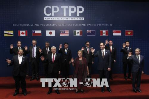  Mexico phê chuẩn Hiệp định CPTPP - Ảnh 1.