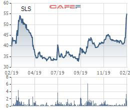 Mía đường Sơn La (SLS) báo lãi ròng quý 2 niên độ 2019-2020 tăng gấp rưỡi cùng kỳ - Ảnh 1.