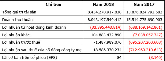 Miệt mài bán tài sản và oằn mình trở lại, vua cá Hùng Vương (HVG) mục tiêu tăng lãi hơn 14 lần lên 255 tỷ - Ảnh 1.